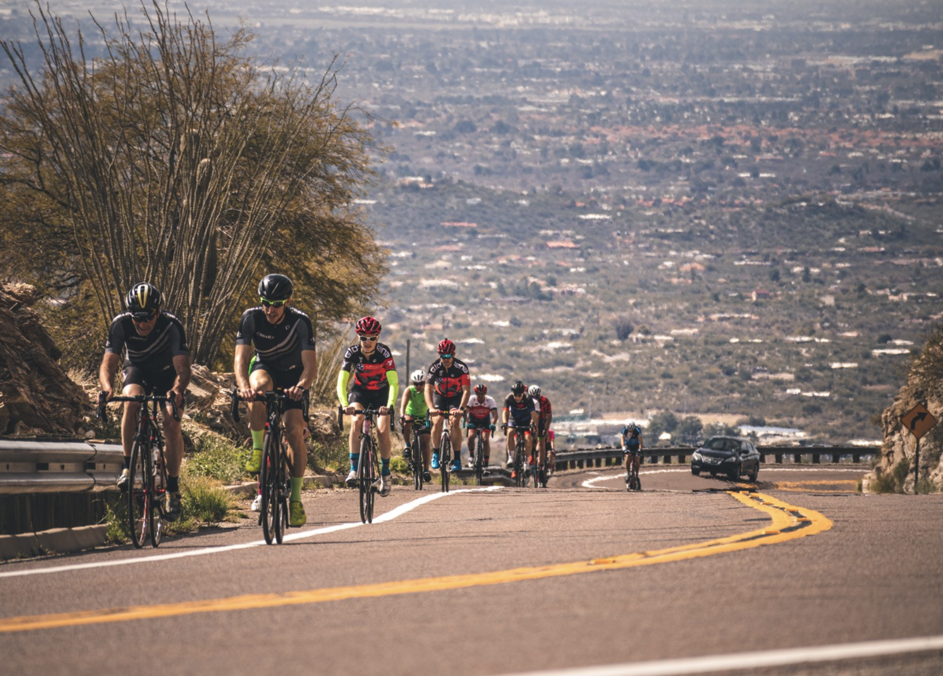 Screen Shot 2020-12-29 at 10.49.23 AM